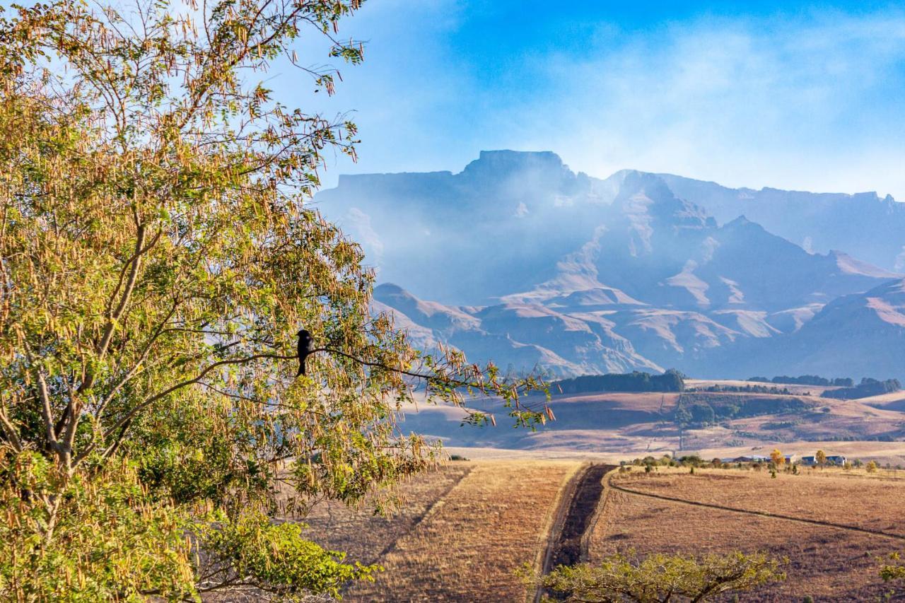 Inkungu Lodge Champagne Valley Екстер'єр фото